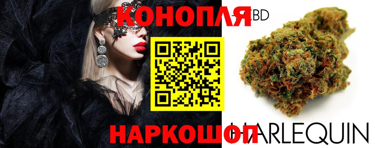 Канабис марихуана  Вход с VPN  Новый Уренгой  Шишки марихуана гибрид  Канабис план 